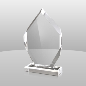 premio trofeo acrilico personalizzato di alta qualità 