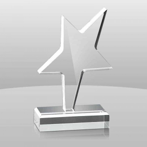 trofeo acrilico personalizzato dal design moderno 