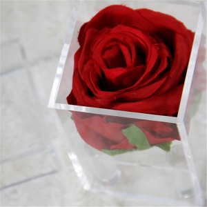 mini scatole di rose impermeabili di lusso per evento di nozze 