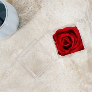 mini scatole di rose impermeabili di lusso per evento di nozze 