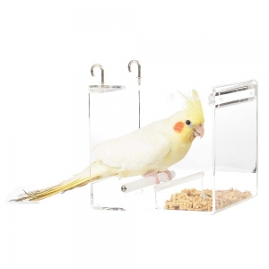 Chiara gabbia per uccelli in acrilico personalizzata 