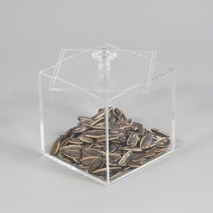 Scatola in acrilico trasparente piccolo quadrato in plexiglass 