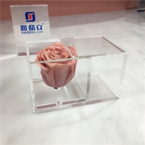 mini scatola di fiori acrilica trasparente all'ingrosso per rosa 