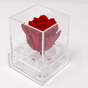 mini scatola di fiori in perspex con scatola di rose in acrilico trasparente 