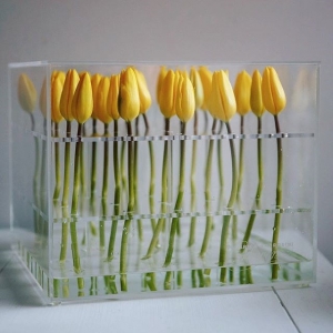 scatola di immagazzinaggio di fiori in acrilico