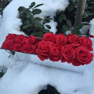 scatola impermeabile a specchio eterno con rose per 18 rose rettangolo scatola acrilica 