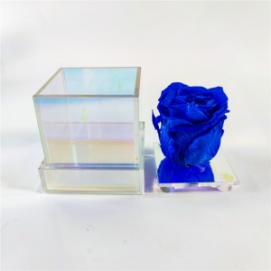 fioriera personalizzata in acrilico trasparente con 6 rose con cassetto 