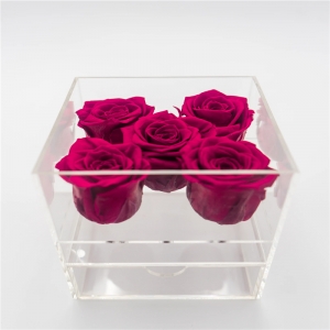 delux boutique 12 rose acriliche scatola per fiori lunghi steli 