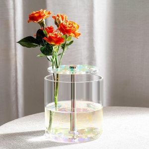 vaso di fiori acrilico speciale per decorazioni per la casa
    <!--放弃</div>--> 