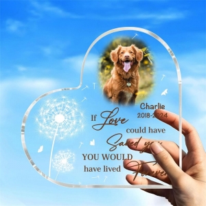Placca per animali domestici acrilici decorativi a forma di cuore per soggiorno 