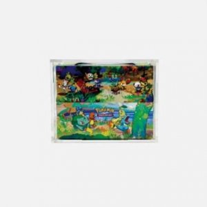 Custodia in acrilico all'ingrosso per Pokemon Mini 8 