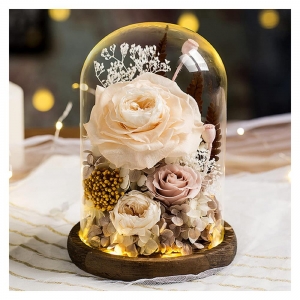 copertura a cupola in plastica trasparente