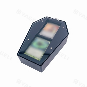 Scatola portaoggetti in acrilico a forma di bara 