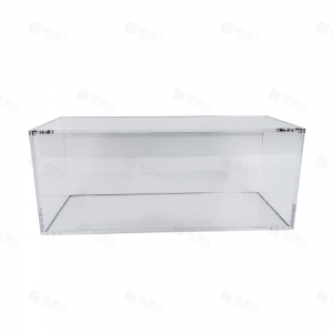 Custodia in acrilico per Pokémon SPC 