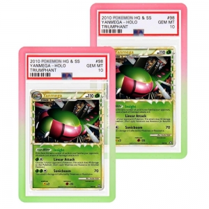 Protezione per lastre in TPU Paraurti per lastre graduato