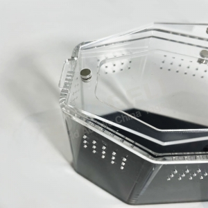 Contenitore per bara a forma di ragno in acrilico con retro nero resistente ai raggi UV 